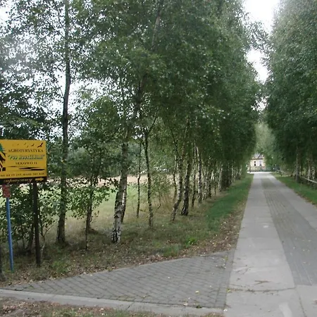 Pod Modrzewiami * Nowy Tomysl