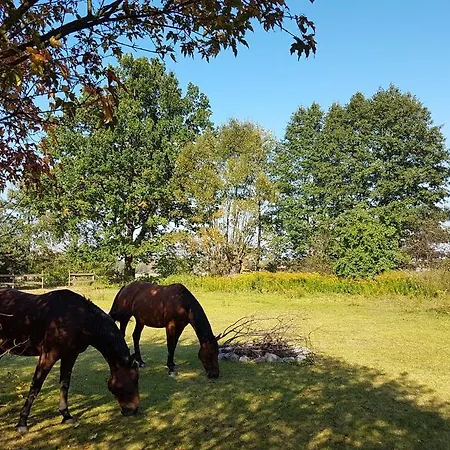 Pod Modrzewiami Nowy Tomyśl