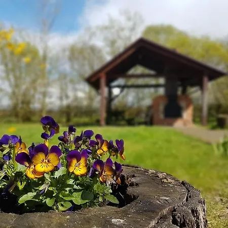 Pod Modrzewiami * Nowy Tomyśl