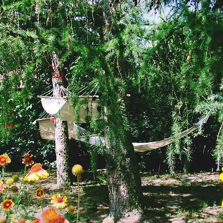 Pod Modrzewiami Nowy Tomyśl