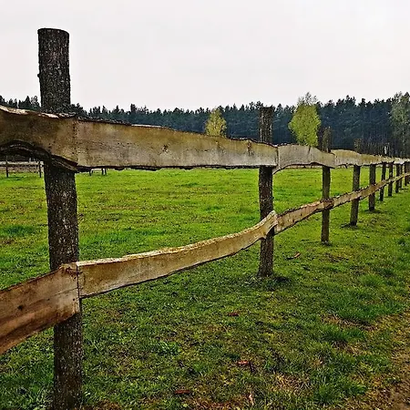 Farmház Pod Modrzewiami *