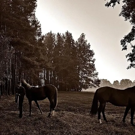Pod Modrzewiami Nowy Tomyśl