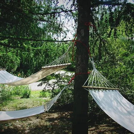 Pod Modrzewiami