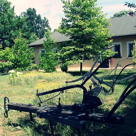 Pod Modrzewiami Vakantieboerderij Nowy Tomyśl
