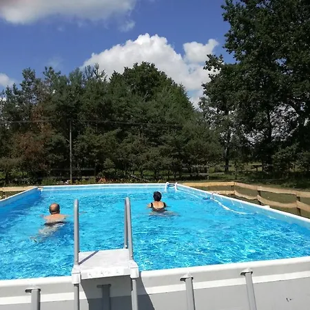 Pod Modrzewiami * Nowy Tomysl