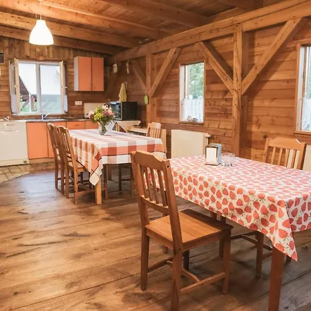 Pod Modrzewiami * Nowy Tomysl