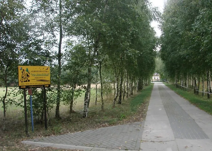 Pod Modrzewiami * Nowy Tomysl