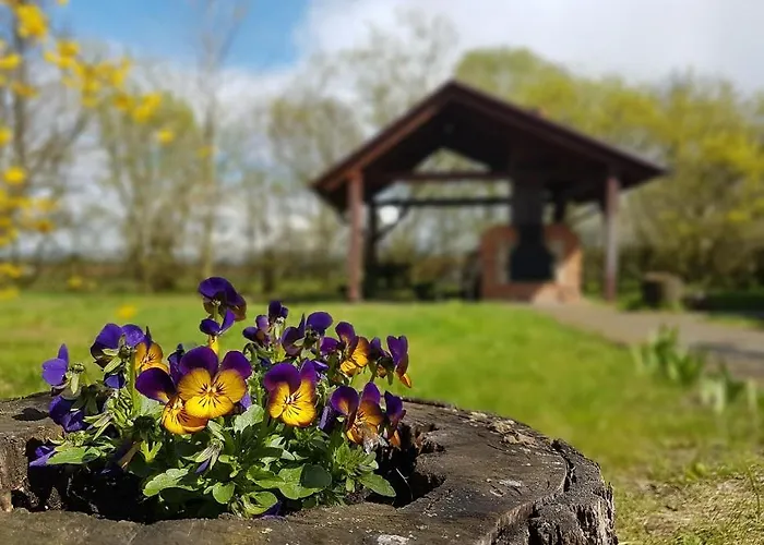 Pod Modrzewiami * Nowy Tomysl