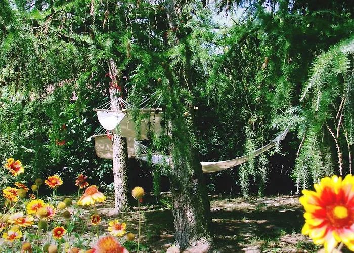 Pod Modrzewiami Новы-Томысль