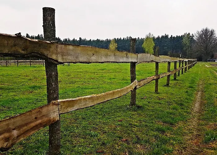 Farm stay Pod Modrzewiami *