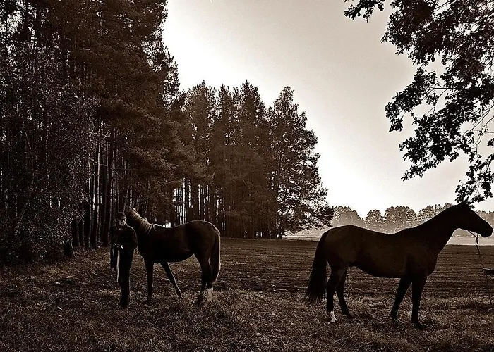 Pod Modrzewiami Nowy Tomysl