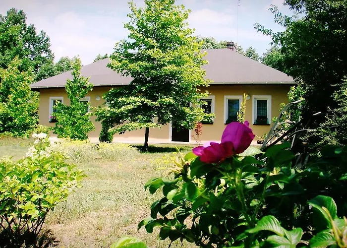 Farm stay Pod Modrzewiami *