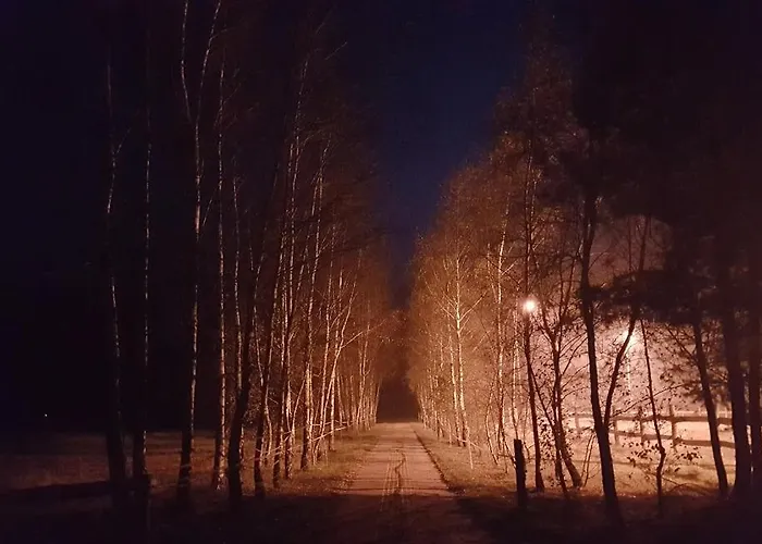 Фермерский дом Pod Modrzewiami