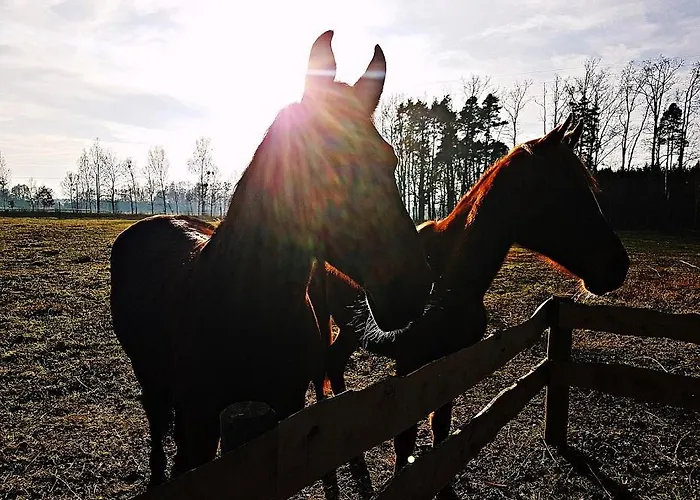 Pod Modrzewiami Nowy Tomysl