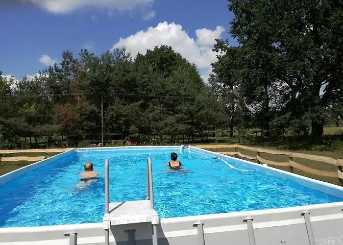 Pod Modrzewiami * Новы-Томысль