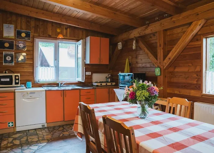 Farm stay Pod Modrzewiami *