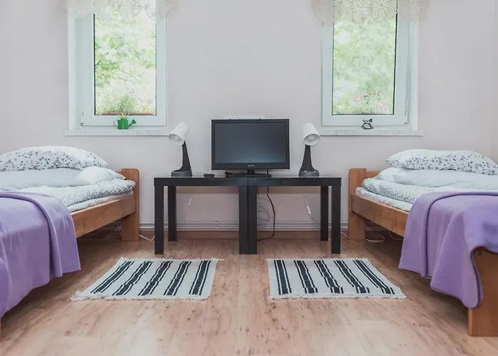 Farm stay Pod Modrzewiami *