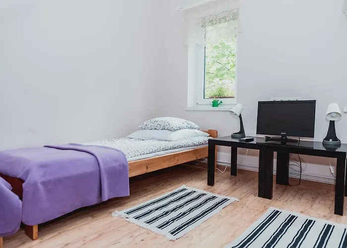 Pod Modrzewiami * Nowy Tomysl